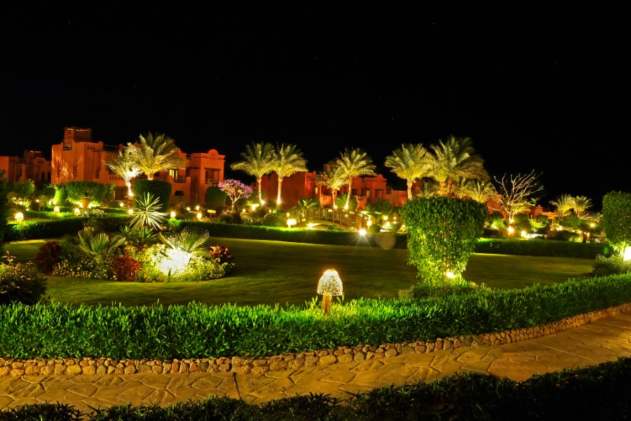 A nighttime garden scene with illuminated palm trees, enhanced by landscape lighting.