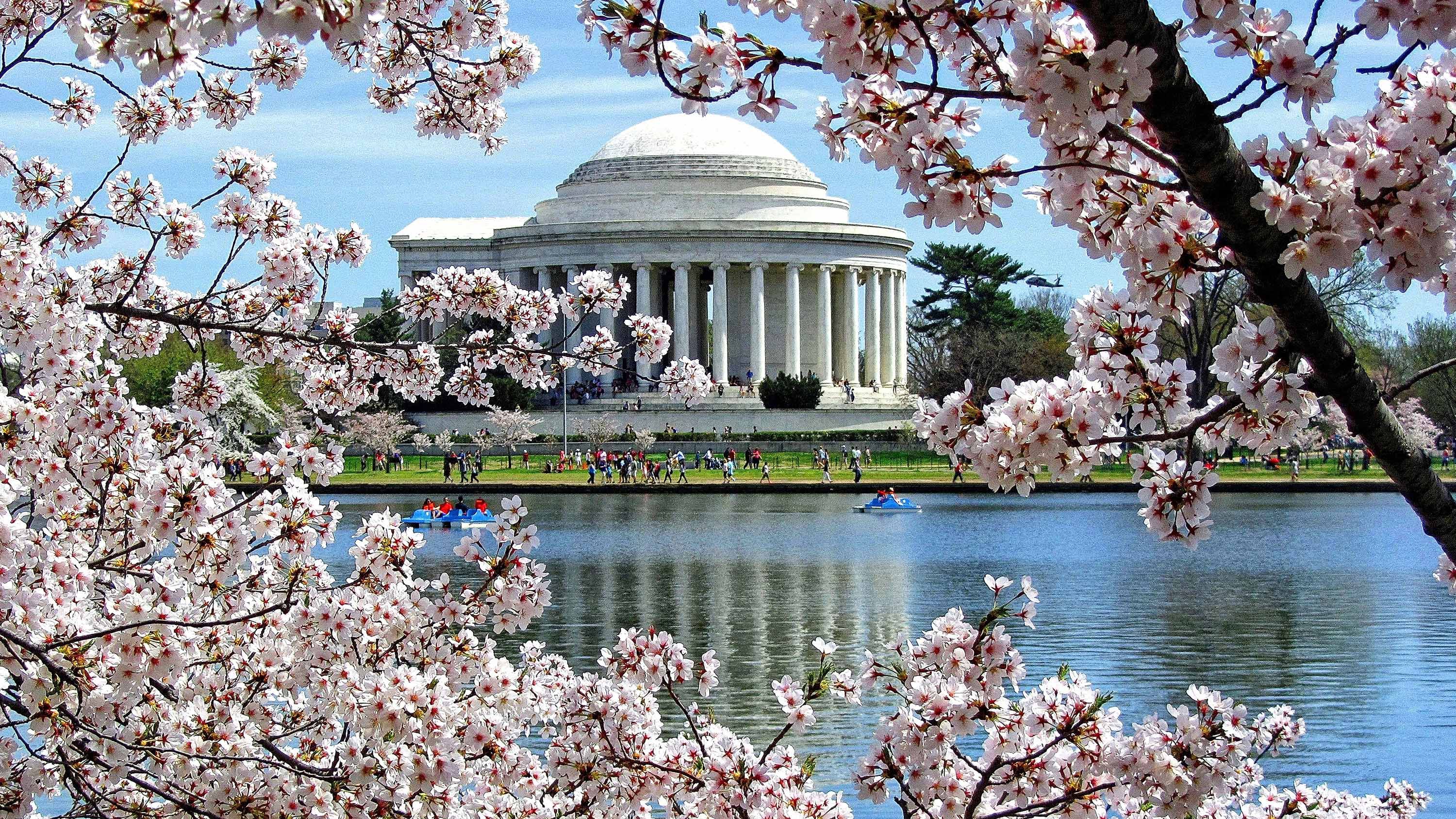 Outside view of a modern house with a pool